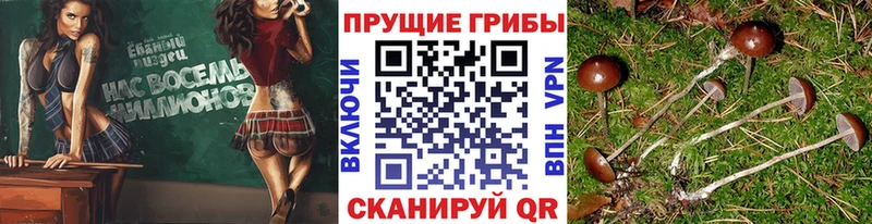 Галлюциногенные грибы Magic Shrooms  Армянск 